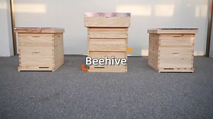 Beekeeping Beehive Box - 10 or 8 Frame Unassembled Wooden Langstroth Beehive for Sale Honey Bee Hive Manufacturing Supplies