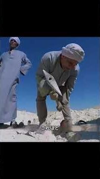 [Unopened for 4,000 Years] The "Mystery Door" Hidden Inside the Great Pyramid of Giza... What Lie...