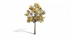 Maple tree - Download Free 3D model by MozzarellaARC