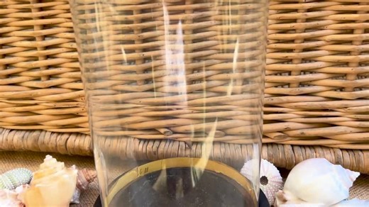 Antique French Glass Cloche, Victorian Display Dome, Wood Base - Etsy