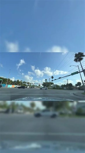 Spring flowers and autumn moon
