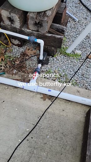 Aquaponics System Using 7 IBC Totes and 55 Gallon Drum for Particle Separator