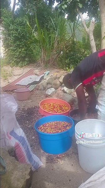 dj beckham (@dj.beckham6)’s videos with original sound - dj beckham