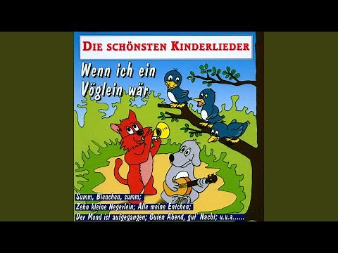 Zehn kleine Negerlein