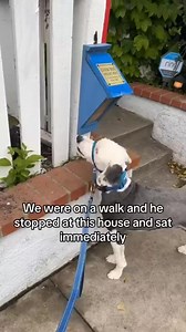 74K views · 2.2K reactions | They give away treats in memory of their dog ❤️ #InLovingMemory #DogLegacy #PawsAndLove #HonoringOurDog #TreatsOfLove #DogMemorial #ForeverInOurHearts #KindnessInMemory #PetTribute #DogLove #ActsOfKindness #~ | Brandon Parker | Facebook