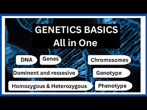 Basic Genetics | Simple & Clear Explanation”