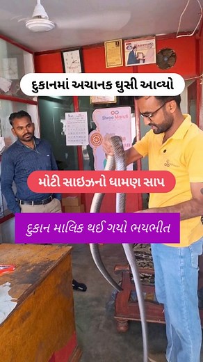 219K views · 5.6K reactions | verry big size Rat snake (non Venomous snake) #viral #sarpmitrapradippatel #humanity #reptiles #forest #save | Sarpmitra Pradip Patel | Facebook