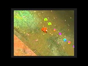 Findet Nemo #015 [Deutsch][HD]