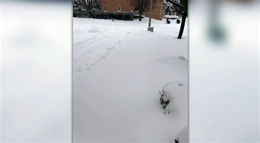 Snow removal company takes advance payments and fails to show up