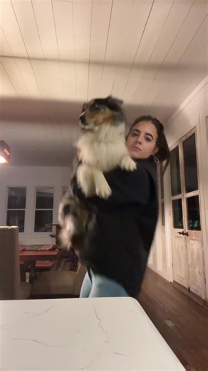 back before I had a human kid