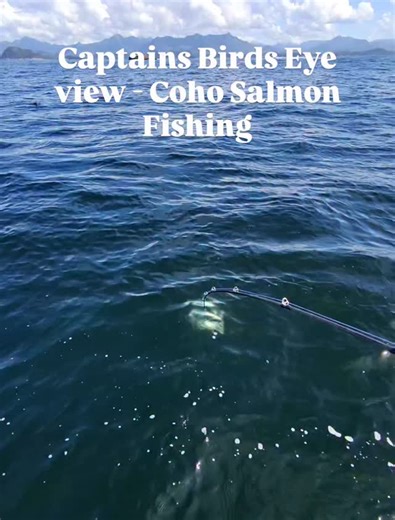 A skippers most useful tool, the Gaf hook🪝🐟 #alaska #salmon #outerlimits #sitka #coho | Outer Limits Charters