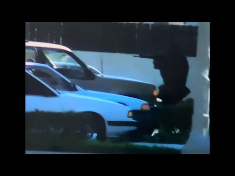 North Hollywood Shootout Of 1997