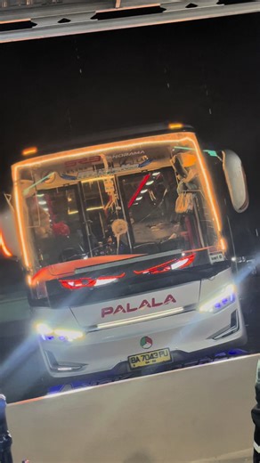 Explora el fenómeno Palala en Busmania