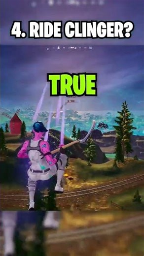 Fortnite Mythbusting 😧