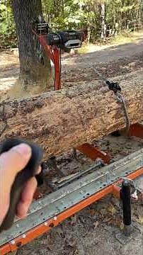 Squaring up Pine Logs on the Norwood LM30 sawmill #norwoodsawmills #logstore #logyard #woodmizer