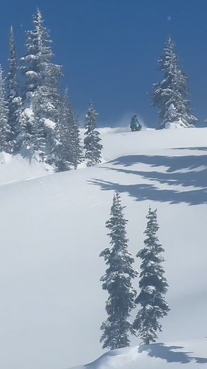 51K views · 15K reactions | Cruisin’ | Brett Allan | Facebook