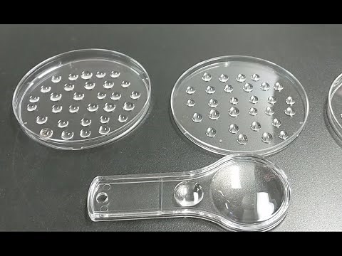 Brine Shrimp Lab Overview