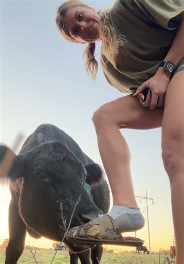 Cow With Foot Fetish? Meet Rhonda Who Greets by Toes