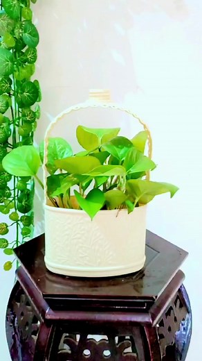 DIY #diy #diycrafts #diyhome #handmade #usa #us #restore #you #reels #reelsfb | DIY Show