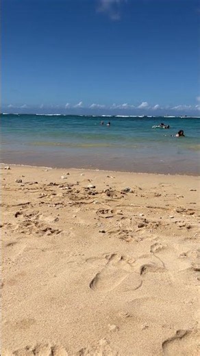 Sunny Beach Day in Hawaii #Hawaii #Beach #Ocean #Waves #BeachDay #aesthetic #ハワイ