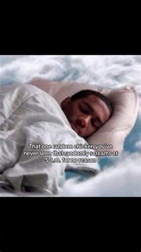 That one random chicken you’ve never seen that randomly screams at 5am for no reason