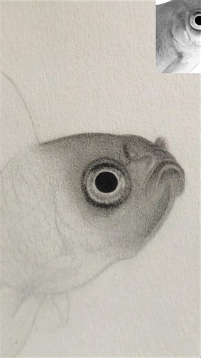 Timelapse of my new artwork🐟✨ #shorts #drawing #timelapse #artwork #art