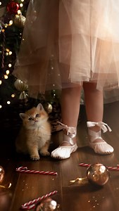Tiny ballerina and her kitties the Nutcracker edition 🎀 | Ksenia Belanger Photography
