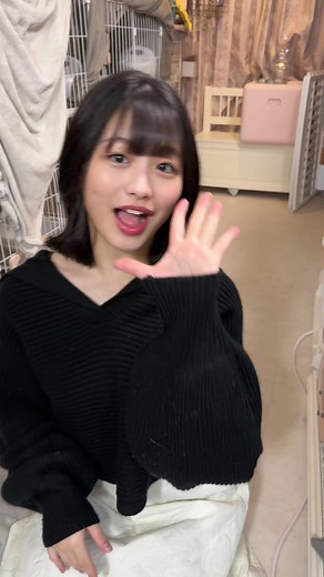 盾イベ最終日がんばるにゃ #もふもふテレビ