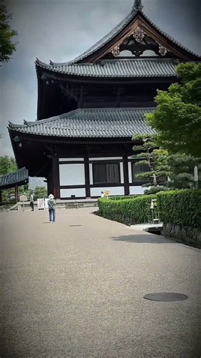 大人になって、もう一度歩きたい京都
