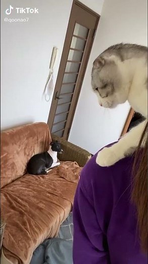 アンドロイド 不具合 LINE 解決方法 Playストアを開いてマイアプリ&ゲームから「AndroidシステムのWebview」を開く アンインストールを押して、完了したら端末を再起動。