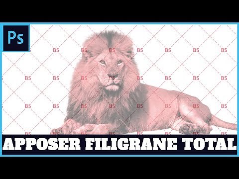 Tutoriel Photoshop CC : Comment créer et apposer un filigrane intégrale sur une photo