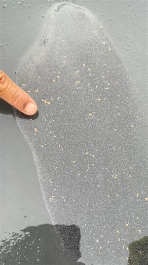 Amazing, mining gold in a clear river #mininggold #goldenriver #river #goldprospecting #goldhunter #goldmining #goldpanning | Gunawan Satria