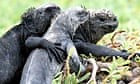 Galápagos Islands: breaking point – video