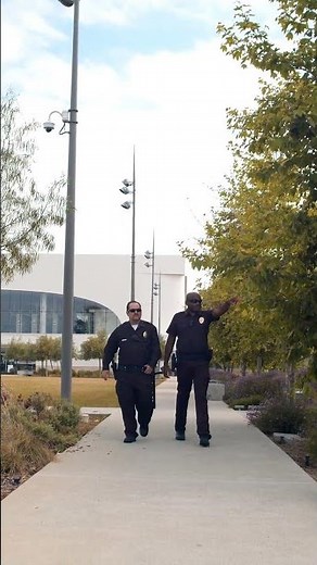 Behind the Glam Real Day in the Life of a Celebrity