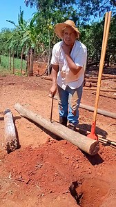 Diferença entre madeira tratada e madeira sem tratamento! | Antonio Marcos Ferreira