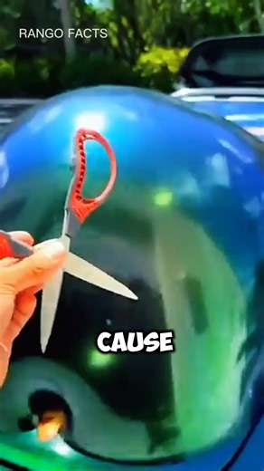 Rango Facts on Reels