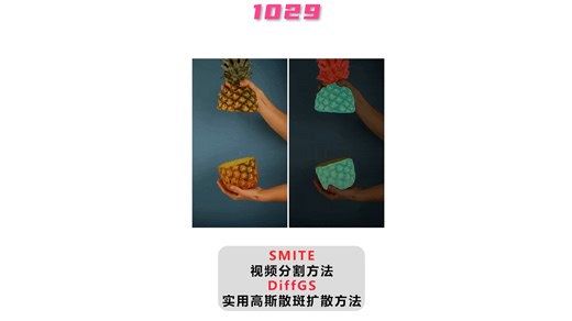 SMITE 视频分割方法 DiffGS 实用高斯散斑扩散方法