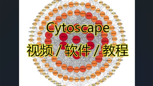 【手把手教你】Cytoscape生物网络绘图软件Cytoscape
