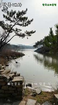 * [충격주의] 듣는 순간 심장이 저미는 국악 트롯 단종의 눈물 - 천만리 머나먼 길 (청령포의 한)
