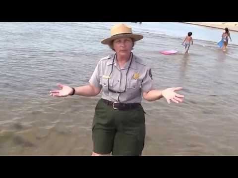 The Intertidal Zone