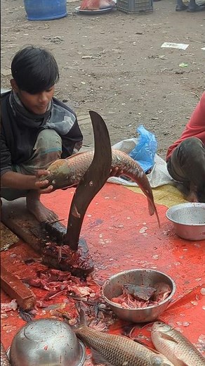 How To Big Fish Cutting Skills