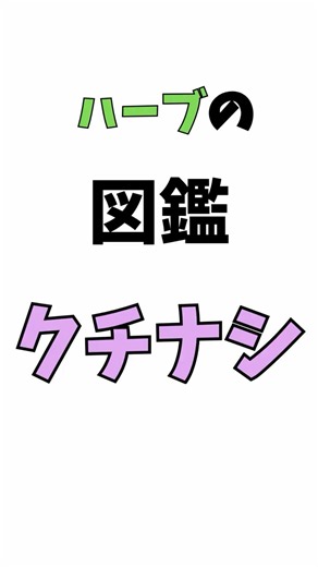 【ハーブの図鑑＃31】クチナシ #ハーブ #豆知識 #プチ知識 #ハーブの効能 #クチナシ #雑学 #美容
