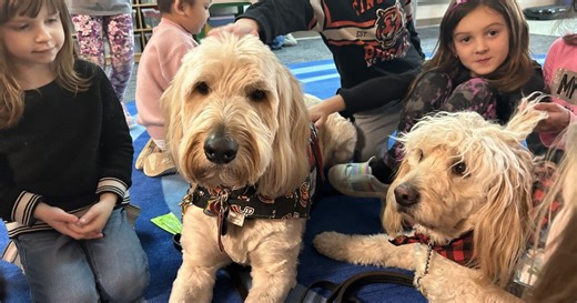 'It has been a tremendous benefit' | Mason City Schools offers support through therapy dogs at every school