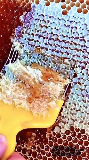 Clean Honey Uncapping – Efficient Wax Seal Removal