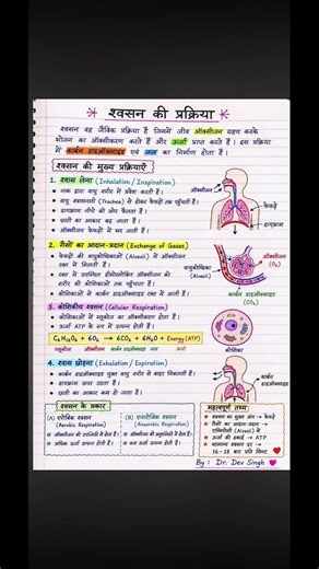 What is oxygen #bpsctre4 #biologynotes #adhyayanjyoti