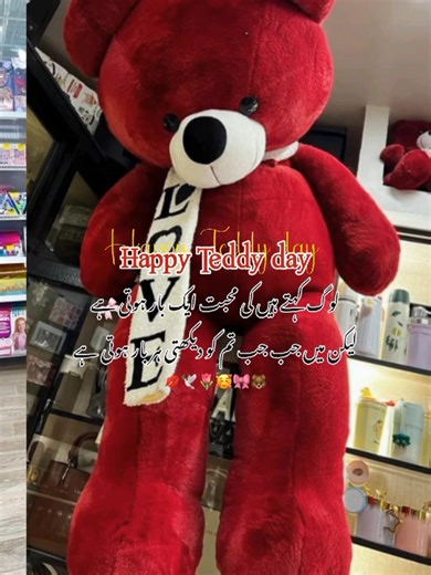 teddy day 🥰🎀🐻 . #rubihuyaar #viraltiktok #foryoumyvideo #foryou #plztiktokunfreezemyacount