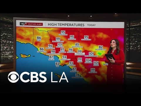 Amber Lee’s NEXT Weather alert