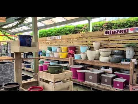 Christmas Coolquay Garden Centre 2025