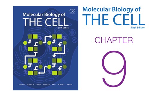 《细胞的分子生物学》第9章 观察细胞 配套视频（字幕重制版）