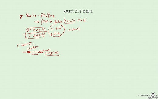 2021-11-07 RACE实验原理概述